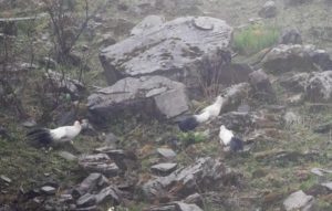 TomBedford.160513.6210-1