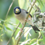 TomBedford.20160511.9638