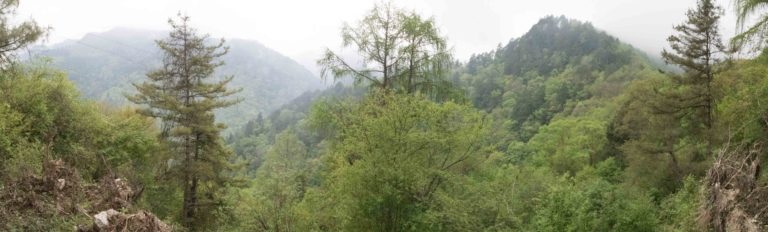 TomBedford.20160512.0007-Pano