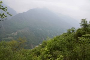 TomBedford.20160512.9853-1