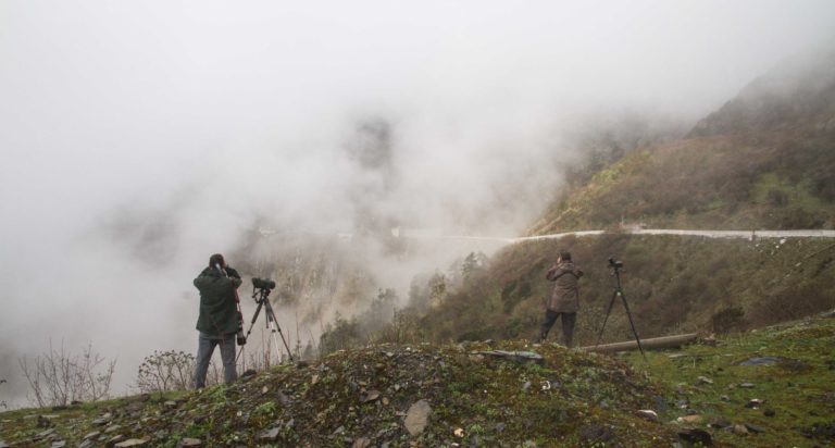 TomBedford.20160513.9483-1