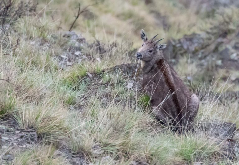 TomBedford.20160514.0200-1