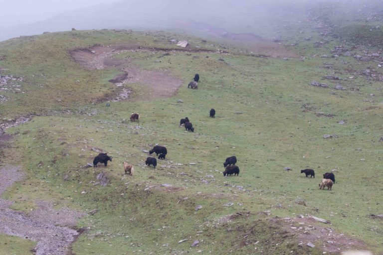 TomBedford.20160514.0243-1