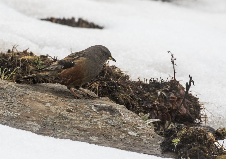 TomBedford.20160514.0626-1