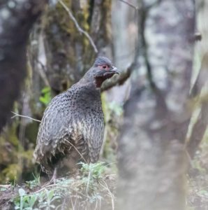 TomBedford.20160514.0652-1