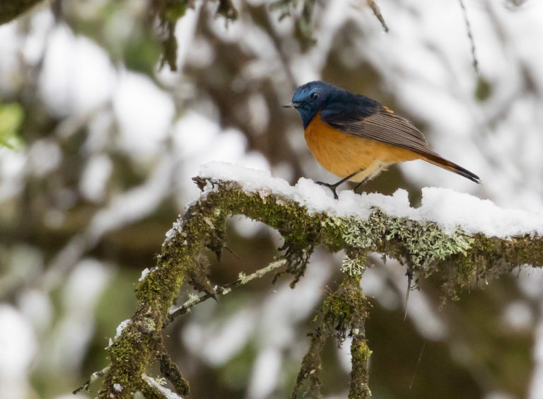 TomBedford.20160515.0764-1