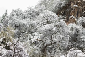 TomBedford.20160515.0823-1