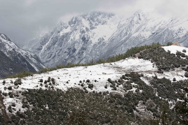 TomBedford.20160515.1015-1