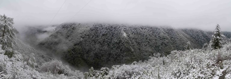 TomBedford.20160515.9564-Pano