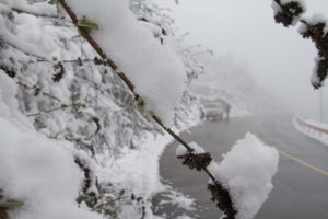 TomBedford.20160515.9569-1