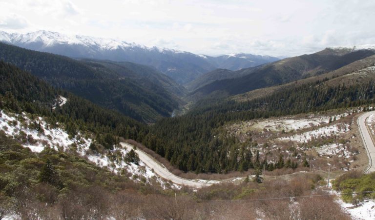 TomBedford.20160515.9654-1