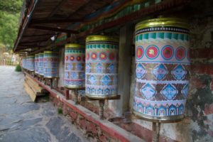 TomBedford.20160515.9680-1