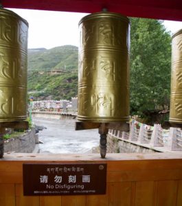 TomBedford.20160515.9686-1