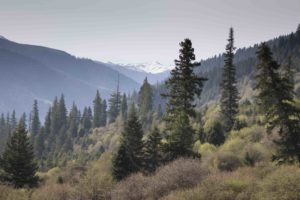 TomBedford.20160516.1155-1