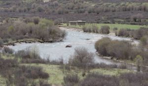 TomBedford.20160516.1285-1