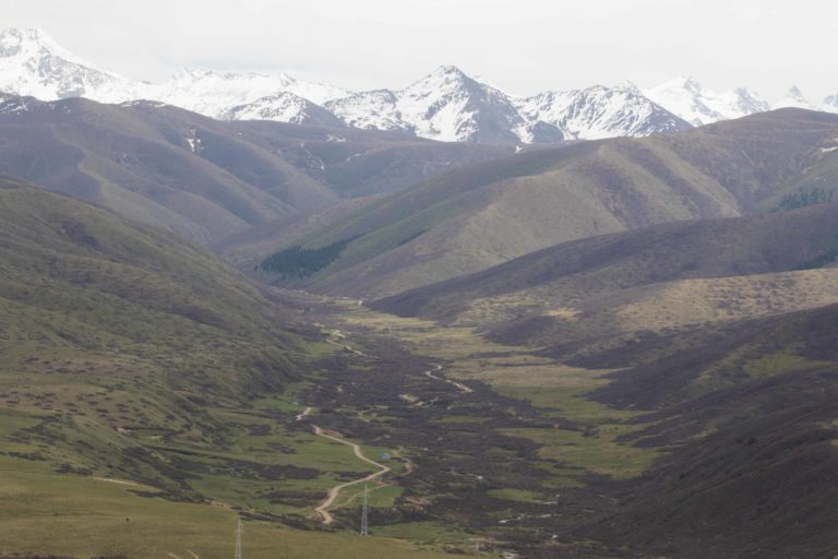 TomBedford.20160516.1371-1