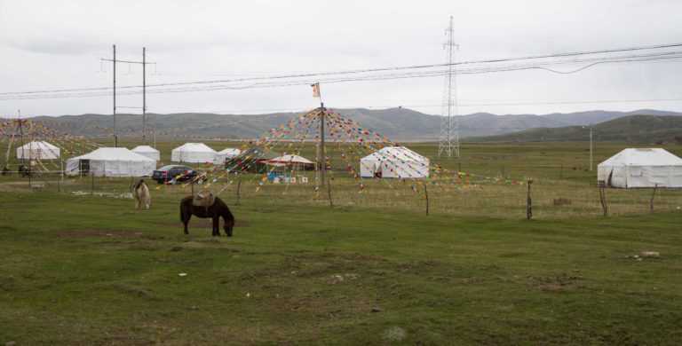 TomBedford.20160516.9726-1