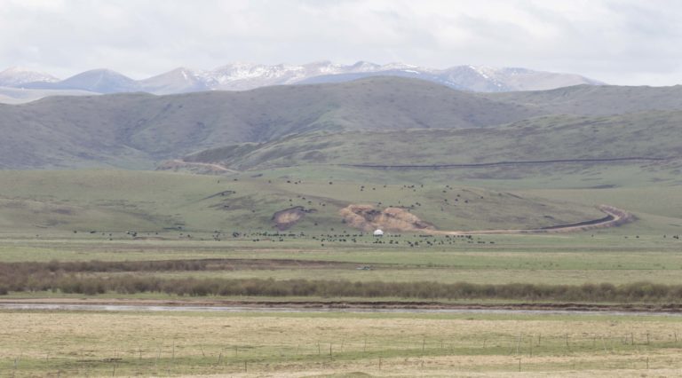 TomBedford.20160517.1710-1