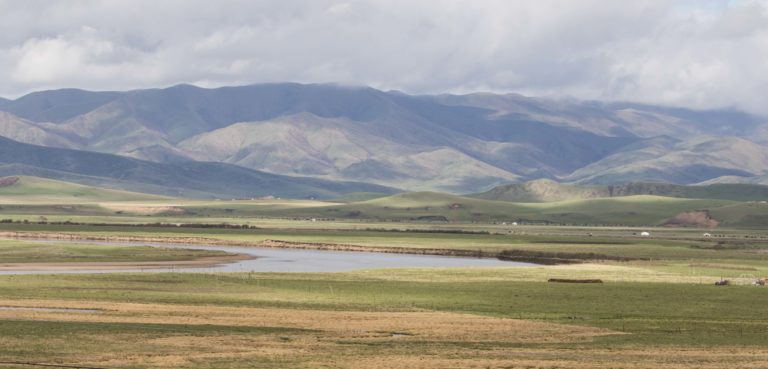 TomBedford.20160517.1732-1