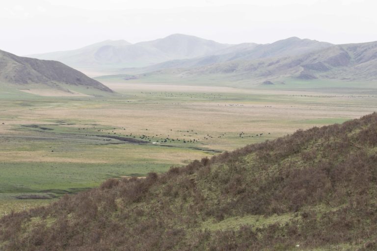 TomBedford.20160517.1806-1