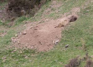 TomBedford.20160517.1904-1