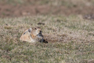 TomBedford.20160517.2126-1