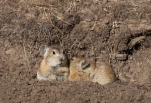 TomBedford.20160517.2166-1