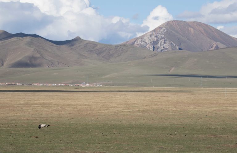 TomBedford.20160517.2194-1