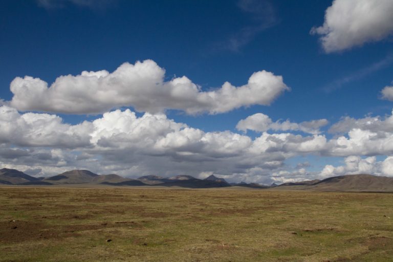 TomBedford.20160517.9767-1