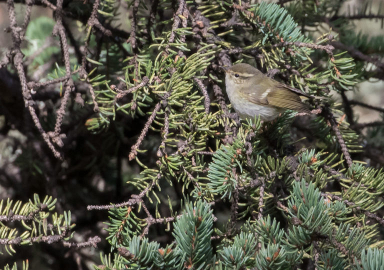 TomBedford.20160518.2383-1