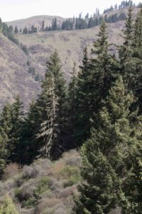 TomBedford.20160518.2434-1