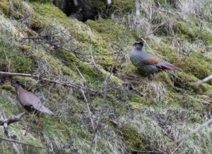 TomBedford.20160518.2506-1