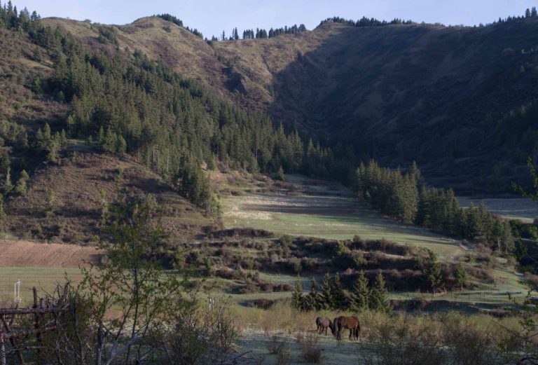 TomBedford.20160518.9789-1