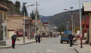 TomBedford.20160518.9790-1