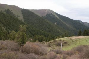 TomBedford.20160518.9819-1