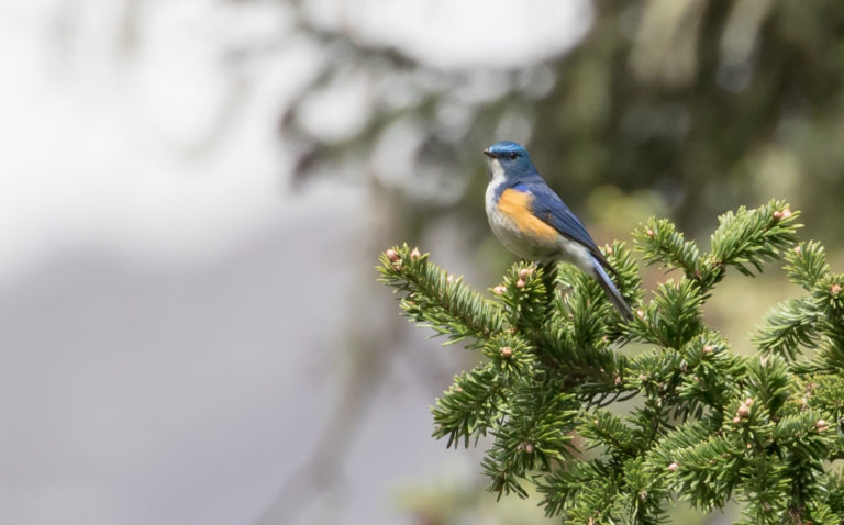 TomBedford.20160519.2880-1