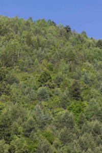 TomBedford.20160519.2994-1