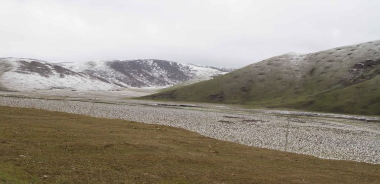 TomBedford.20160519.9829-1