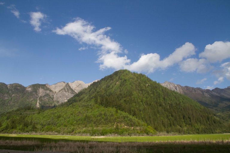 TomBedford.20160519.9871