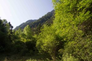 TomBedford.20160520.9890-1