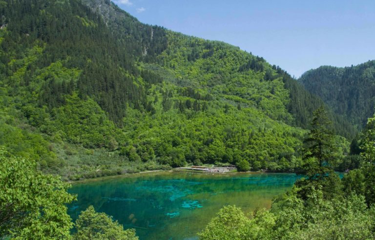 TomBedford.20160520.9905-1