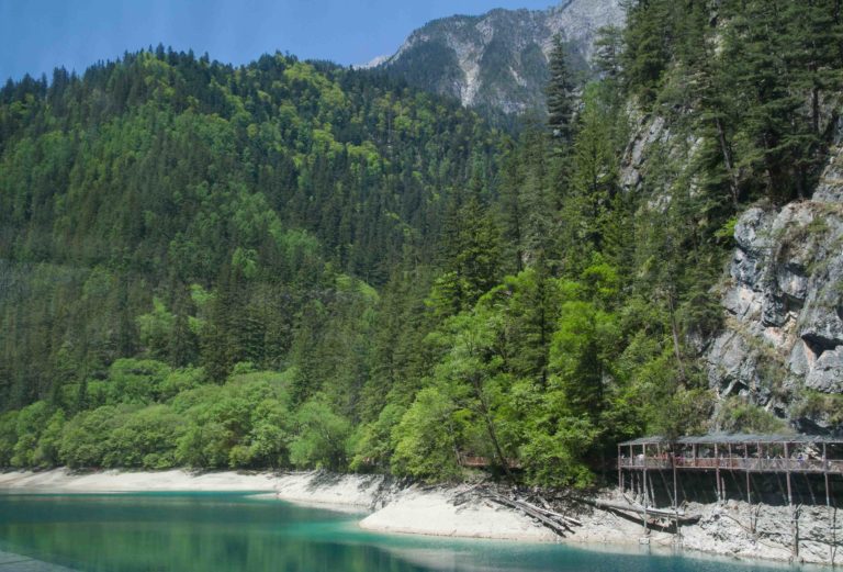 TomBedford.20160520.9912-1