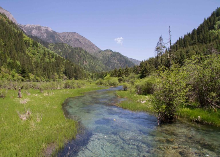 TomBedford.20160520.9924-1