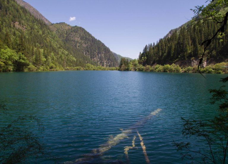 TomBedford.20160520.9935-1