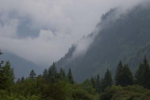 TomBedford.20160521.3429-1