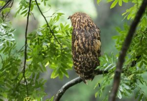 TomBedford.20160522.3764-1