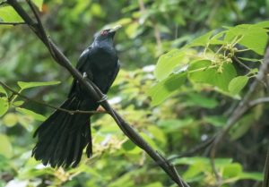 TomBedford.20160522.4104-1