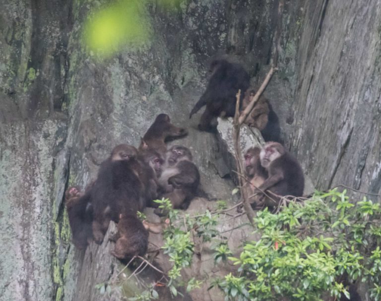 TomBedford.20160522.4129-1