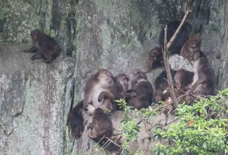 TomBedford.20160522.4134-1