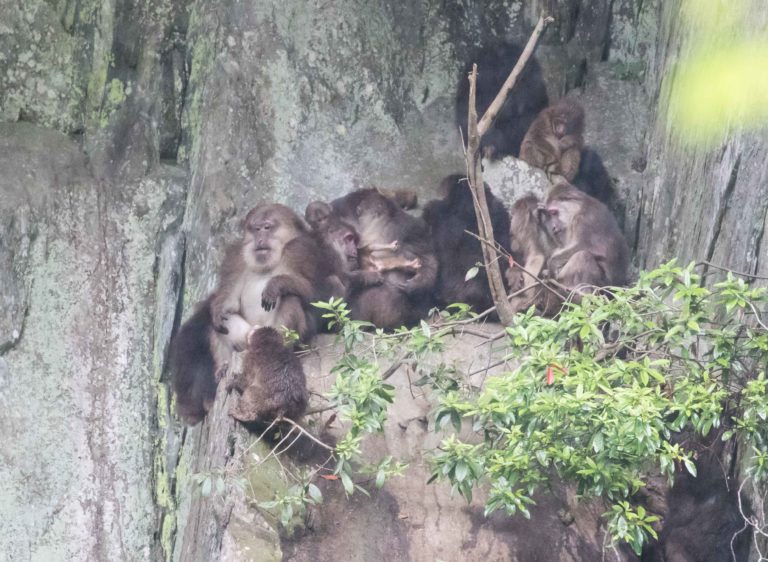 TomBedford.20160522.4138-1